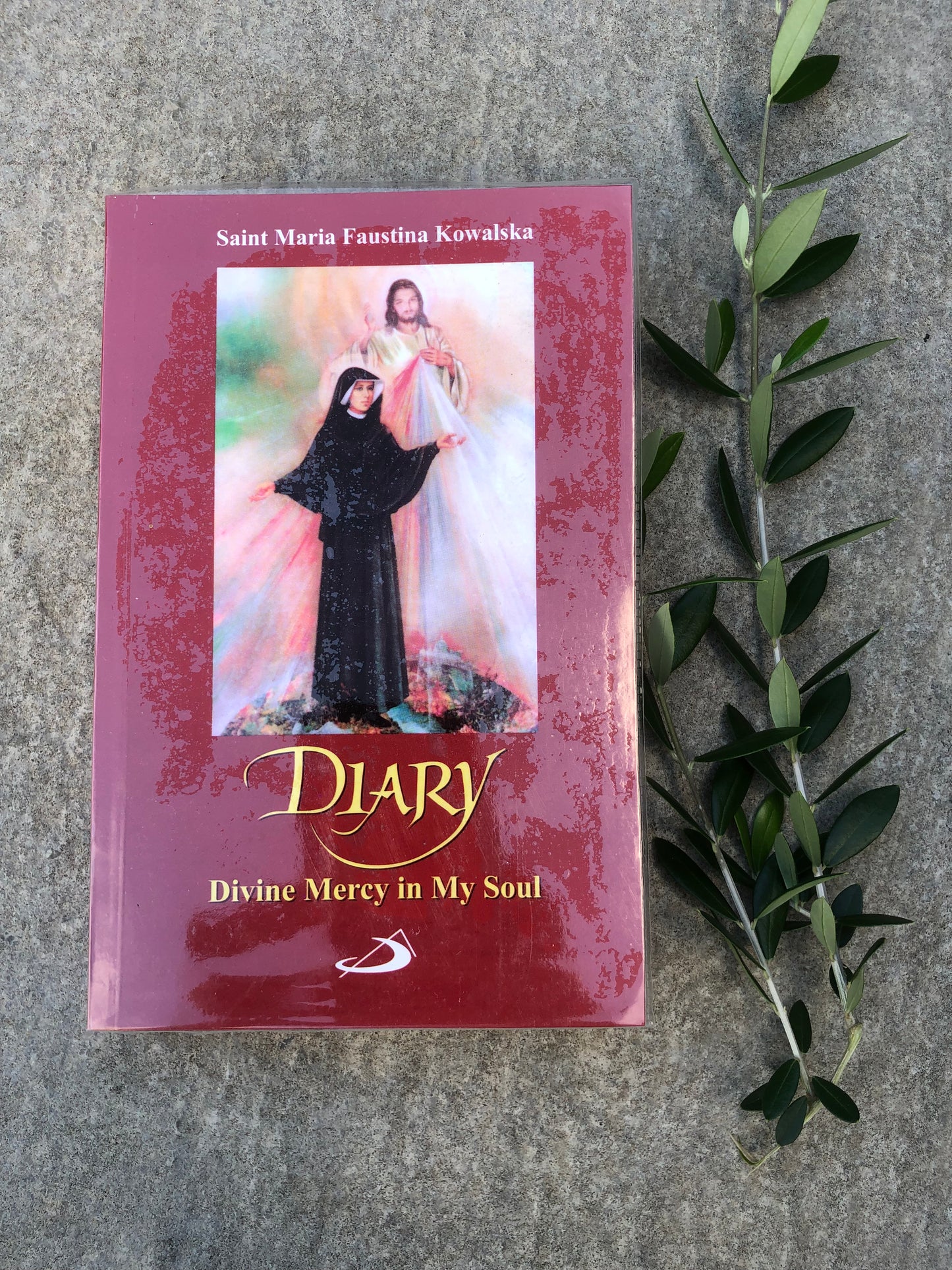 Silver Collection | St. Faustina's Diary